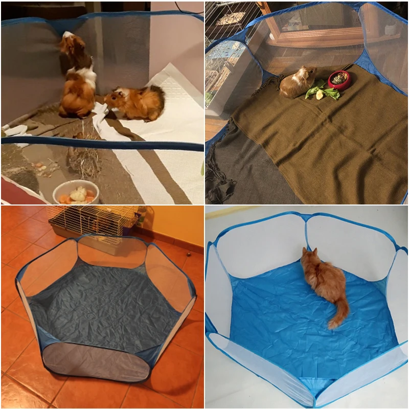 dog tent crate