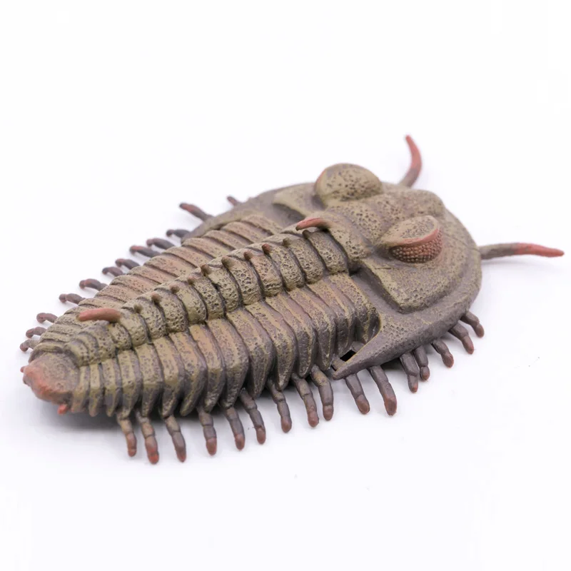 三葉虫 フィギュア Amazon | BACALYSO | 三葉虫 フィギュア 7cm級 化石節足動物 三