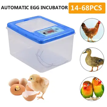 

Digital Automatic Egg Incubator Automatic Temperature Control Chicken Chick Farm Hatcher For Chicken Eggs Incubator
