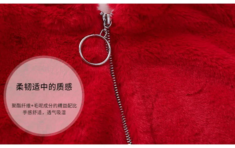 New Winter Fashion Girls Hoodies Cotton Warm Kids Sweatshirts With Zipper Long Sleeve Children Hooded Tops Coat For Girl Clothes (3)