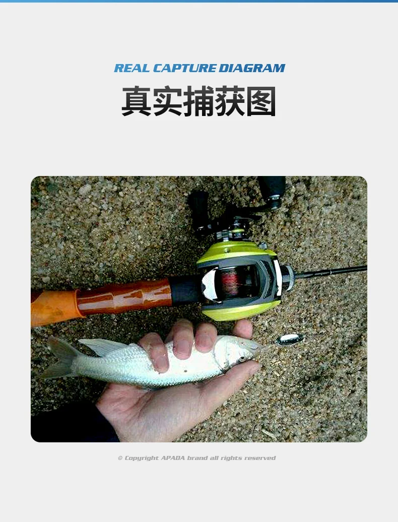 详情2