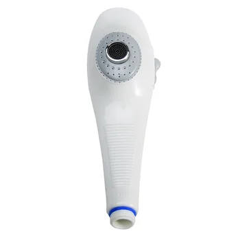 

Big Rain Sprayer Electroplated Dolphin Shaped Bathroom Accessories Home ABS Handheld Easy Install Modern Shower Head