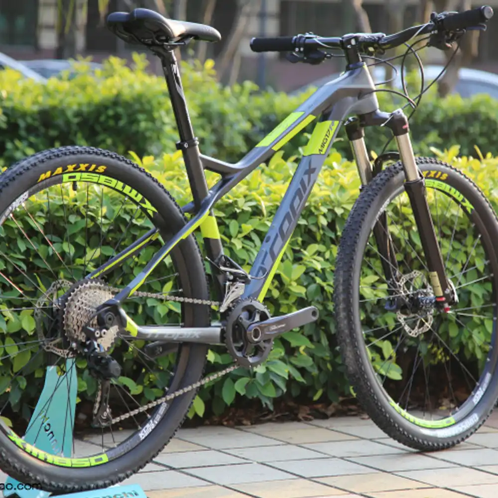 mtb 2019 xc