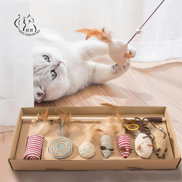 Toy Cat Mouse Fishing Rod, Toys Kittens, Cat Toys Accessories