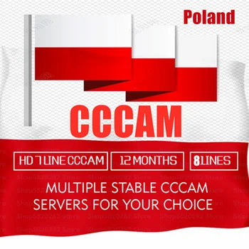 

Special for Poland Europe 7 lines HD AV Cable for Satellite Receiver Cccam lines of 2 year DVB-S2 Europe clines for Free Sat