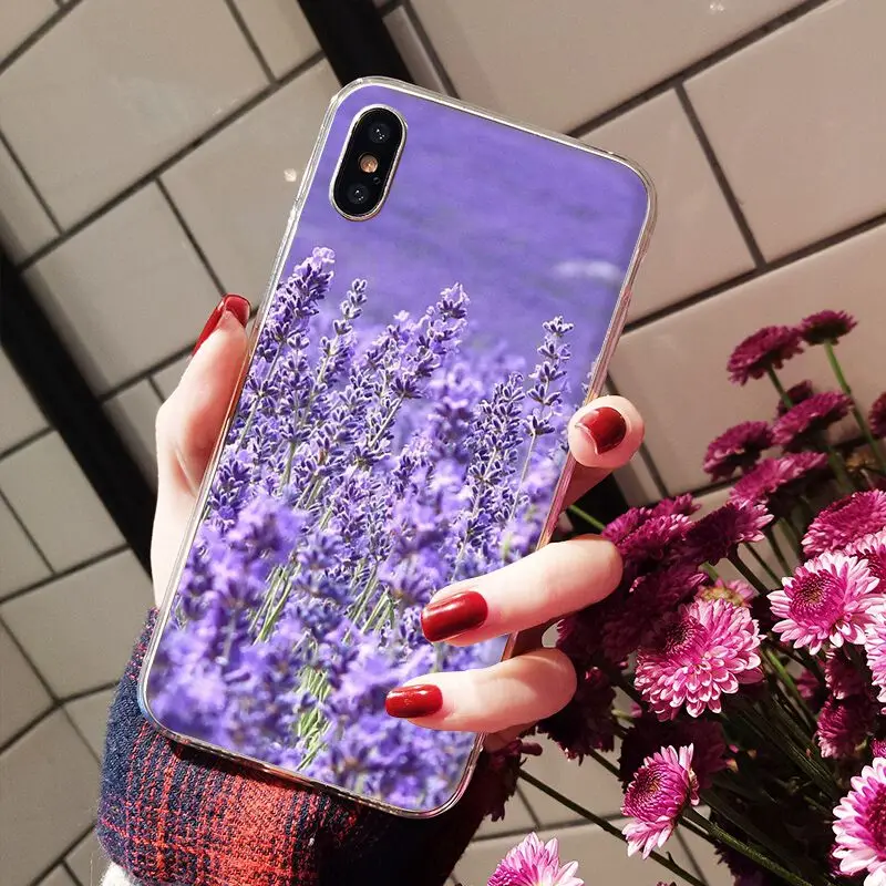Simple lavender Purple flowers