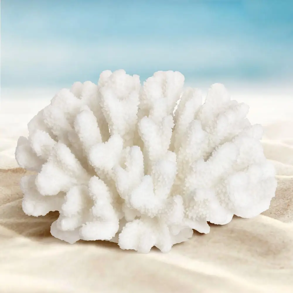 White Coral Sculpture Home Decor Stylish Decorative Accent Coral Flower Sea Beach Decoration Statues White Coral Sculpture Home Decor Stylish Decorative Accent Coral Flower Sea Beach Decoration Statues