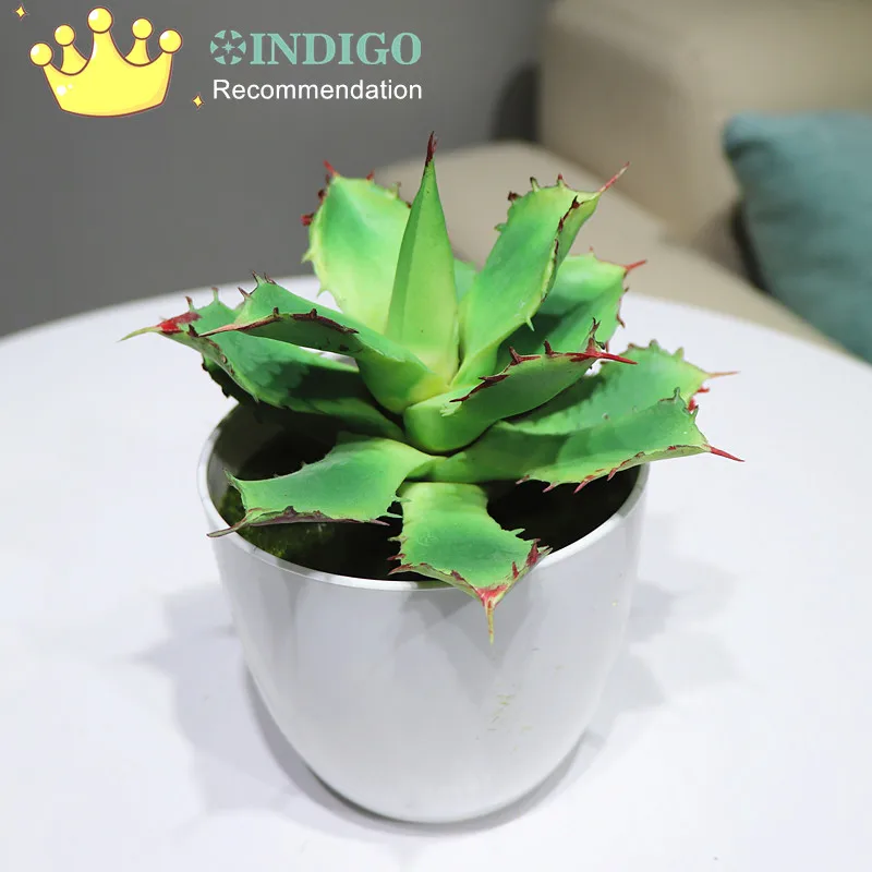 

INDIGO - Artificial Succulent Aloe Star Plant With Vase Desert Plastic Bonsai Plant Table Decoration Greenery Free Shipping
