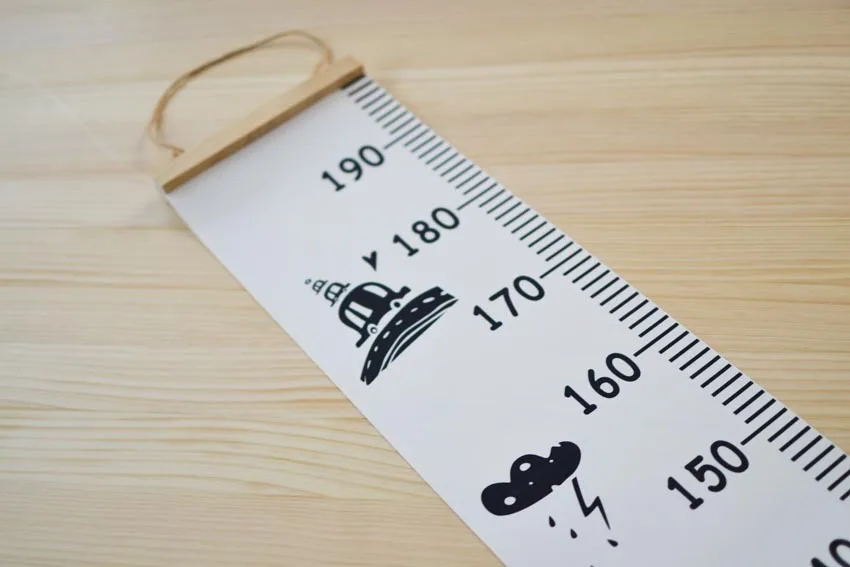 4673666857_1995070944