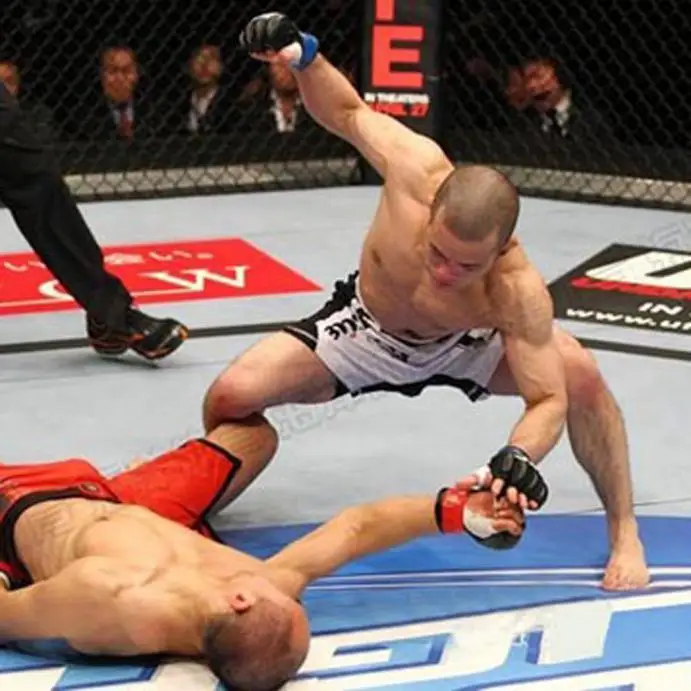 Boxing leather gloves