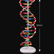 dna model buy dna model with free