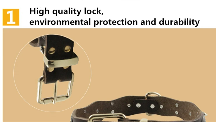 Pet Dog Rivet Collars High Quality Cow Leather Round Bullet Nail Studded Necklace Spiked Strap Punk Style Small Dogs Cat Collar (3)