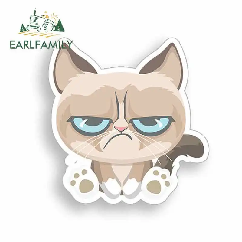 

EARLFAMILY 13cm x 13cm Angry Cat Cartoon Oem Car Stickers Vinyl JDM Bumper Trunk Truck Graphics Waterproof Anime 3D Fine Decal