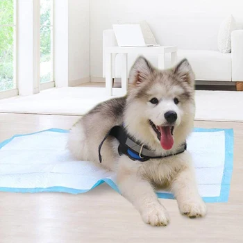 

Regular Style Dog Puppy Pee Mat Diaper Potty Dog Training Pads Regular Absorbancy Pet Training and Puppy Pads Pee Pads for Dogs