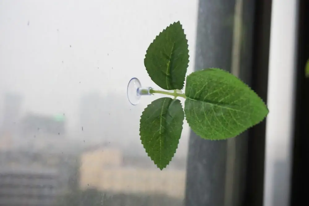 

Betta Plant Leaf Pads for Betta Fish,Tropical Fish Aquariums Saltwater Fish Tank