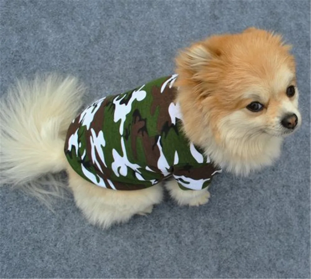 1911684517_361259826