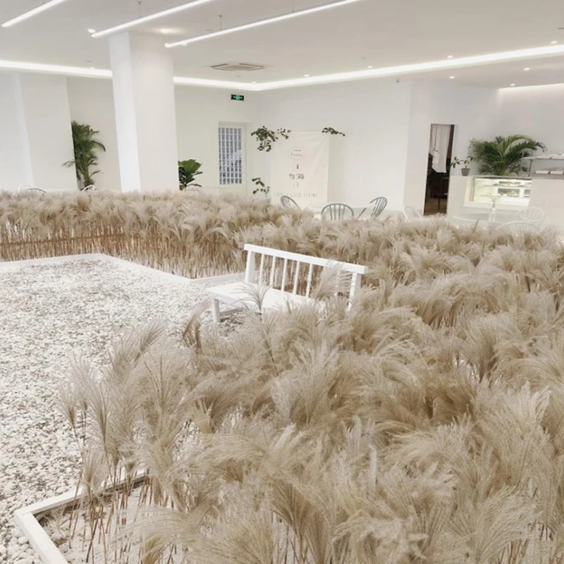 12332285256_1793310583