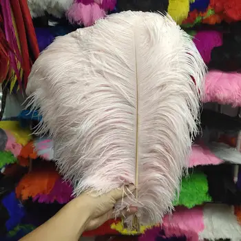 

Hot Sales 100pcs Gorgeous Light Pink 22-24inches/55-60cm DIY jewelry Christmas Halloween Decoration Natural ostrich feathers