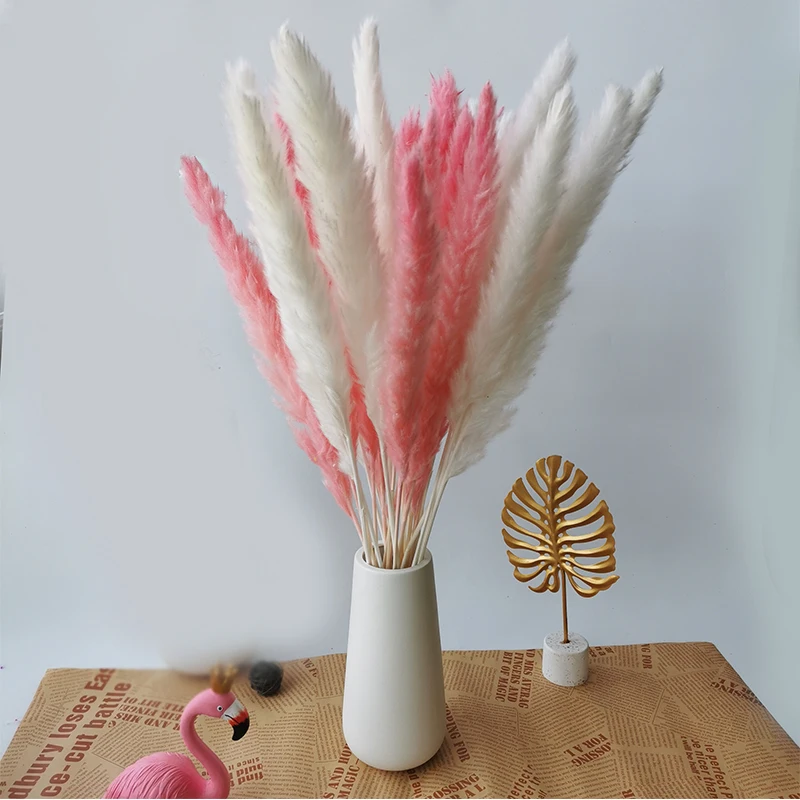 30pcs Small Pampas Grass Bulrush Natural Dried Phragmites Christmas Home Decor Diy Dried Real Flowers Bouquet Flower Arrangement