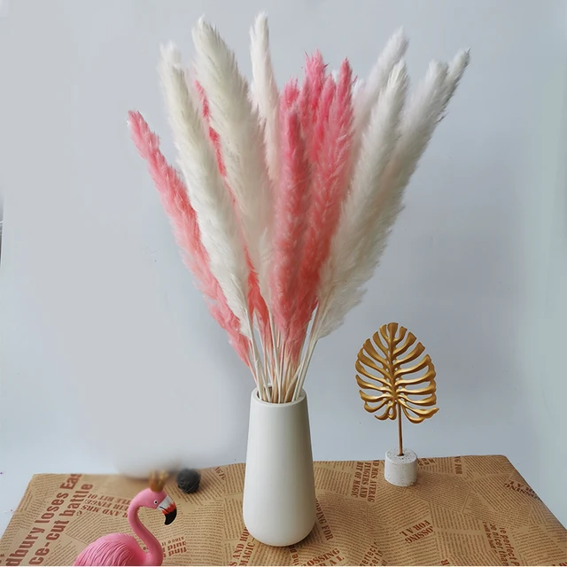 30pcs Small Pampas Grass Bulrush Natural Dried Phragmites Christmas Home Decor Diy Dried Real Flowers Bouquet Flower Arrangement Mix A