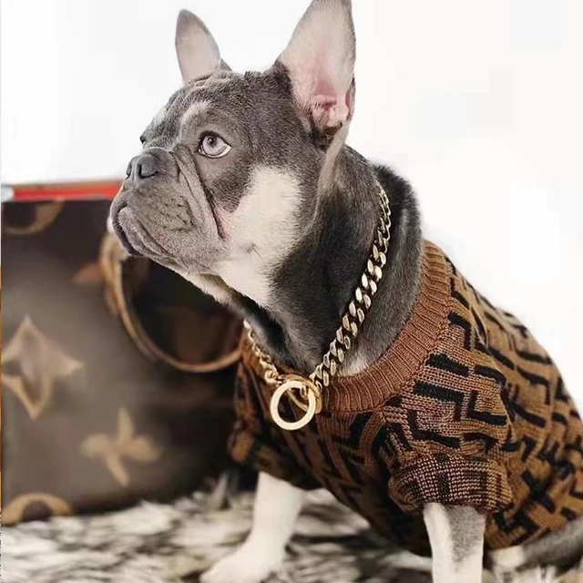 French Bulldog Puppy Sweaters, Designer Dog Clothes Gucci