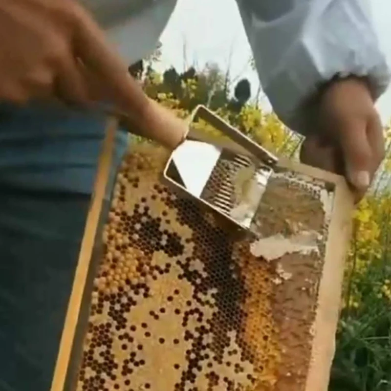 

Stainless Steel Honeycomb Honey Scraper With Wooden Handle Portable Widen Fork Beekeeping Tools