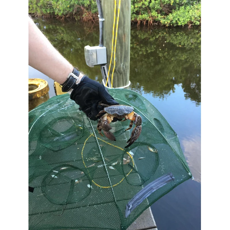 Foldable 4-20 Hole Fishing Net Casting Crayfish Shrimp Mini Fish Crab Bait Trapping Cage Mesh Fishnet | Спорт и развлечения
