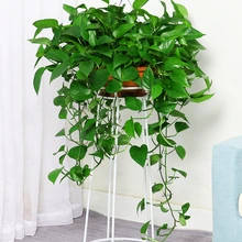 Цветок Airs Тип Посадки Северной Европы Ins крытый гостиной длинный ротанг большой зеленый свисающий кран простой и легкий полка