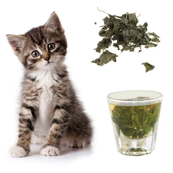 

Natural Silvervine Leaves Cat Catnip Dried Polygonum Matatabi Toys Flavor Snacks