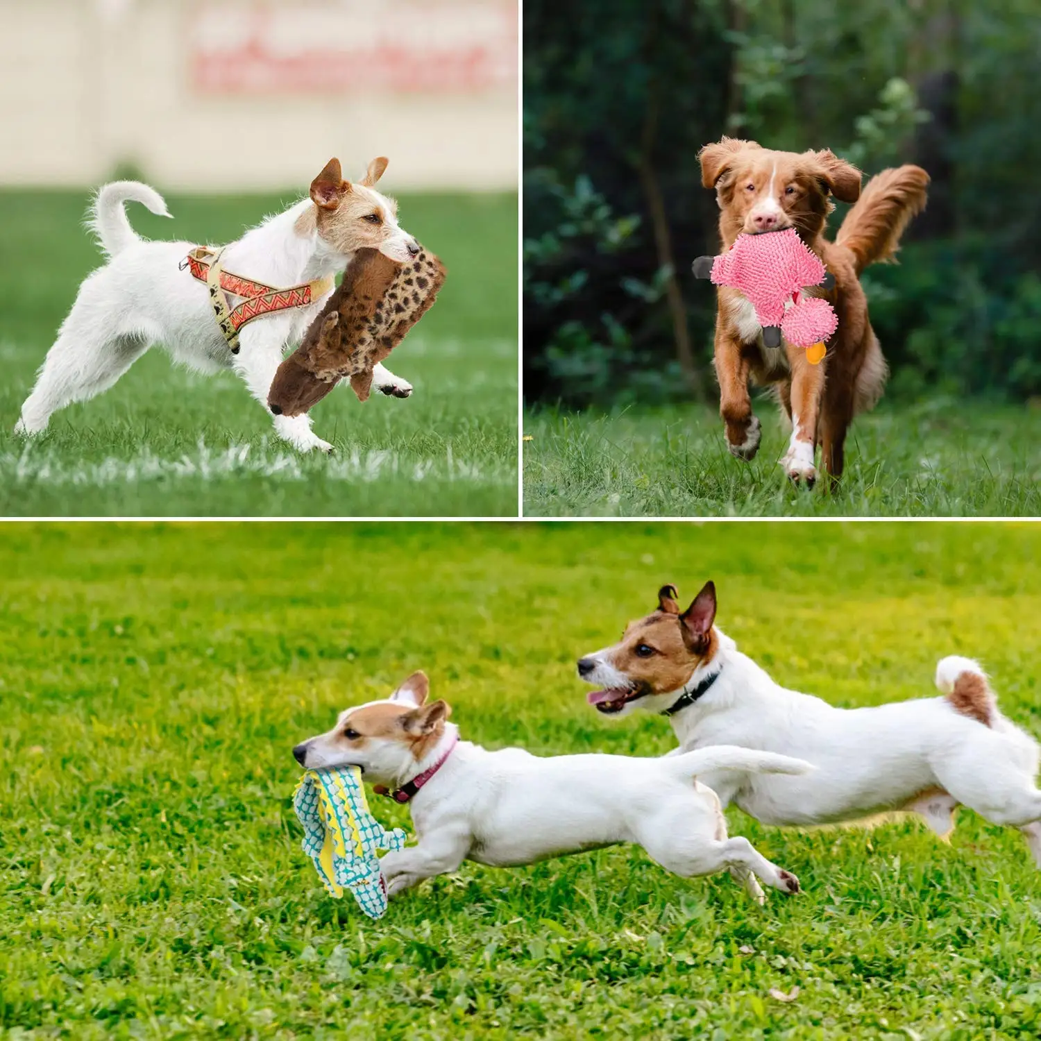 3 шт./компл. нет мягкий пискливый щенок игрушки Пищалками прочный Stuffingless плюшевые игрушки собака жевать игрушка набор для маленьких, средних и больших собак