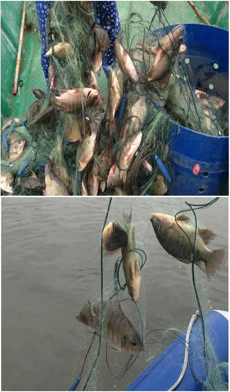 3 Layers 1M Depth 35M Length Sinking Fishing Net Monofilament Nylon Trammel Gill Net for Fishing (8)