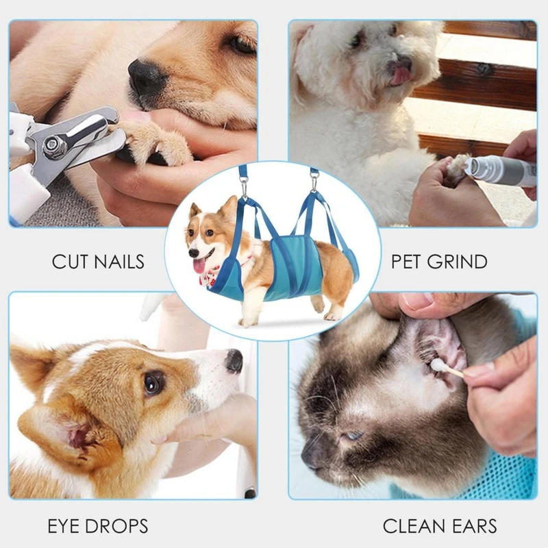 How To Restrain A Dog For Ear Drops