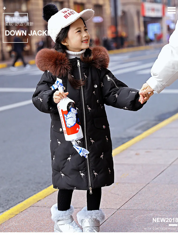 11521340054_977991532