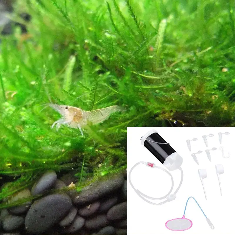 Профессиональный аквариумный инкубатор для креветок Фея Яйцо инструмент