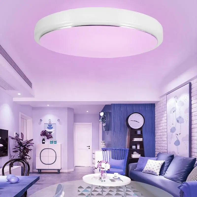 

LED Ceiling Light Remote App Control Surface Mounted Bedroom Household Lamp
