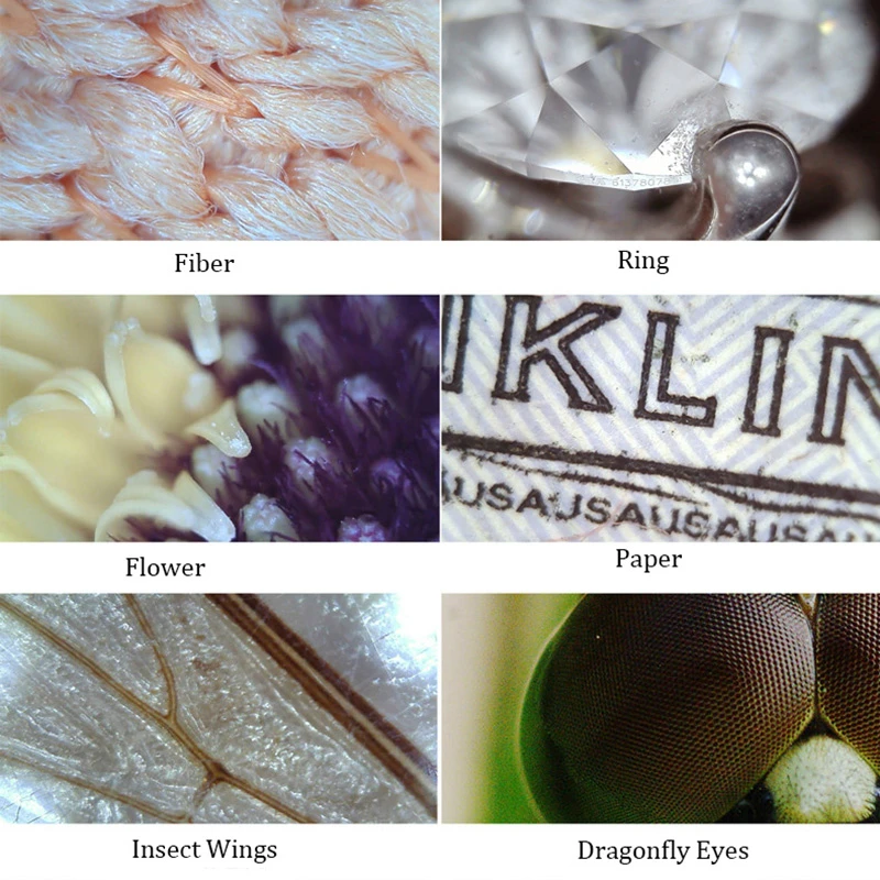 1080p USB Digital Microscope 3 In 1 Endoscope Camera IP67 1.0 mp 200X magnification 8 Leds Stand Magnifier Windows Android MAC