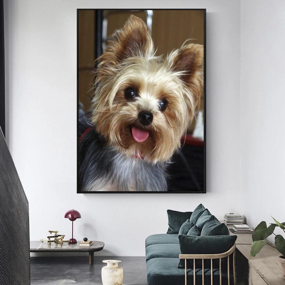 MomoArt Full Square Diamond Painting Dog Animal Art Diamond Mosaic Yorkshire Embroidery Picture Of Rhinestones Home Decor