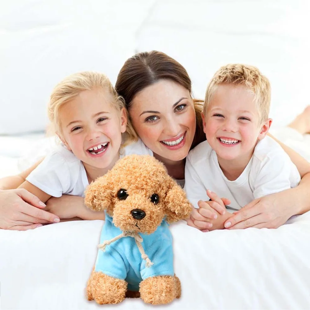 Teddy Dog Rag  (32)