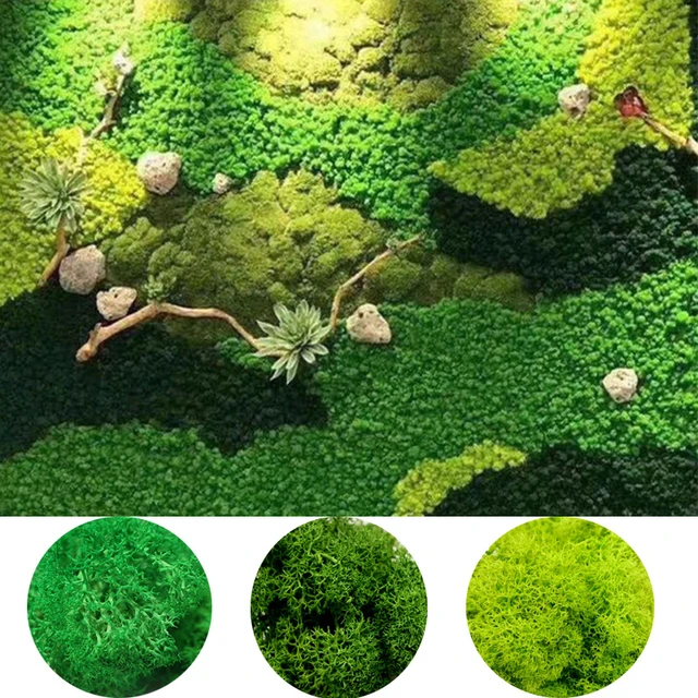 Musgo Artificial de alta calidad, simulación de liquen, plantas verdes,  flores falsas, Micro paisaje, decoración del jardín del hogar, 20g/50g/100g  - AliExpress