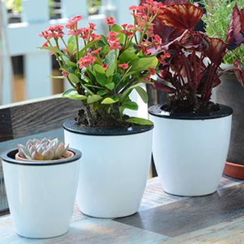

Automatic Self Watering Flower Plants Pot Put In Floor Irrigation For Garden Indoor Home Decoration Gardening Hot Sale