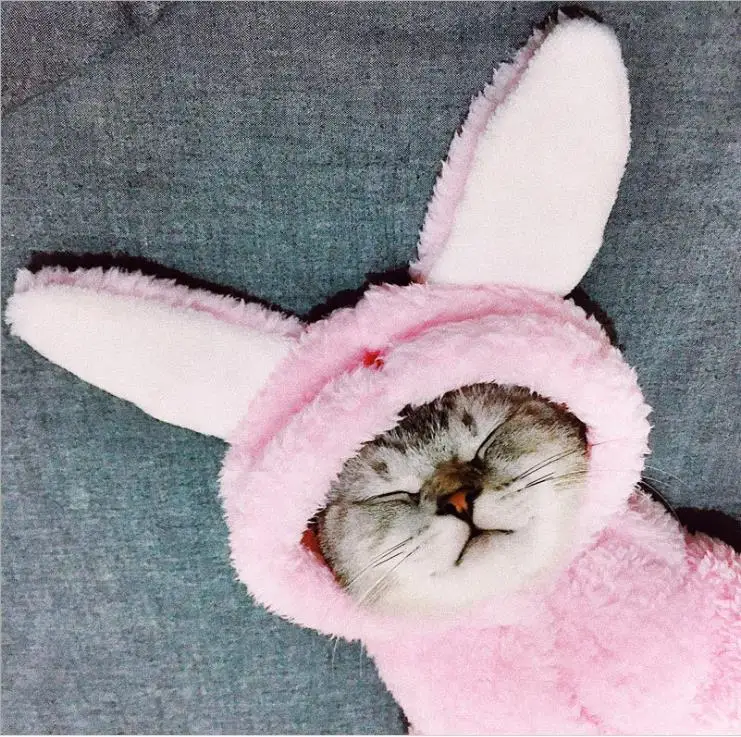 Одежда для кошек милый котенок котик, одежда для Хэллоуина, вечерние костюмы для животных, костюм для костюмированной вечеринки