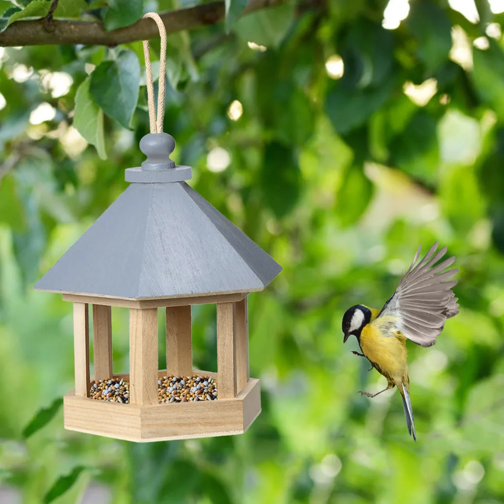 Mangeoire triangulaire transparente pour oiseaux, récipient alimentaire  étanche en métal acrylique, décoration intérieure et extérieure - AliExpress