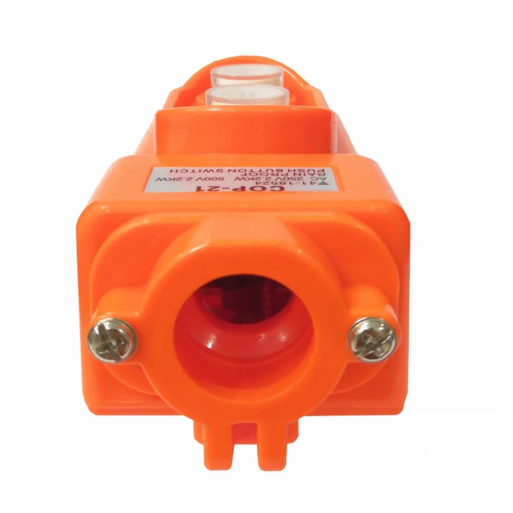 COP-21 Pushbutton Switch 6