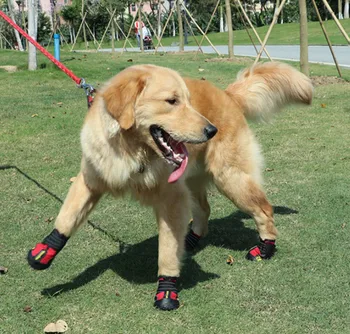 

Pet shoes, dog shoes, explosion models, large dogs, autumn and winter foot covers, rain boots, snow boots dog shoes waterproof