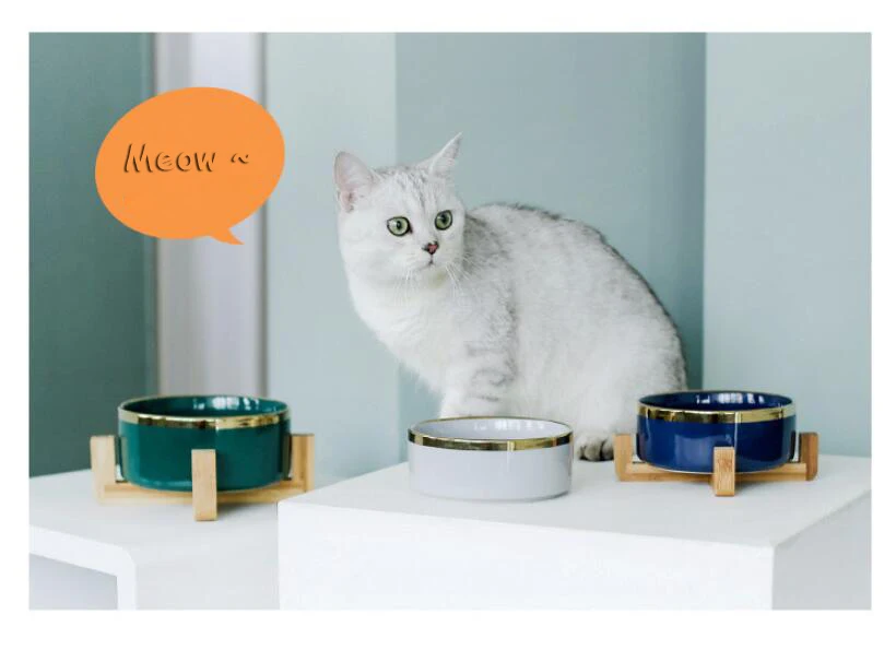 QQ截图20190925164102