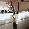 Animal Skull Vacuum Red Wine Bottle Stopper Reusable Champagne Saver Bottle Cap Sealer Plug Restaurant Bar Supplies Tools ► Photo 3/6