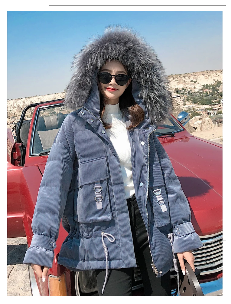 8894602188_286593400_