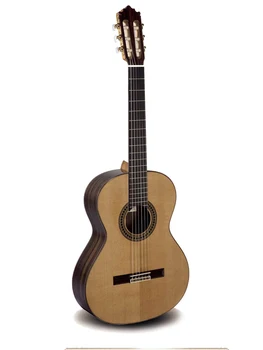 

Guitar classical P.Castillo 204