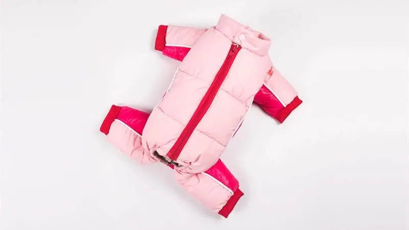 QQ图片20191021105436