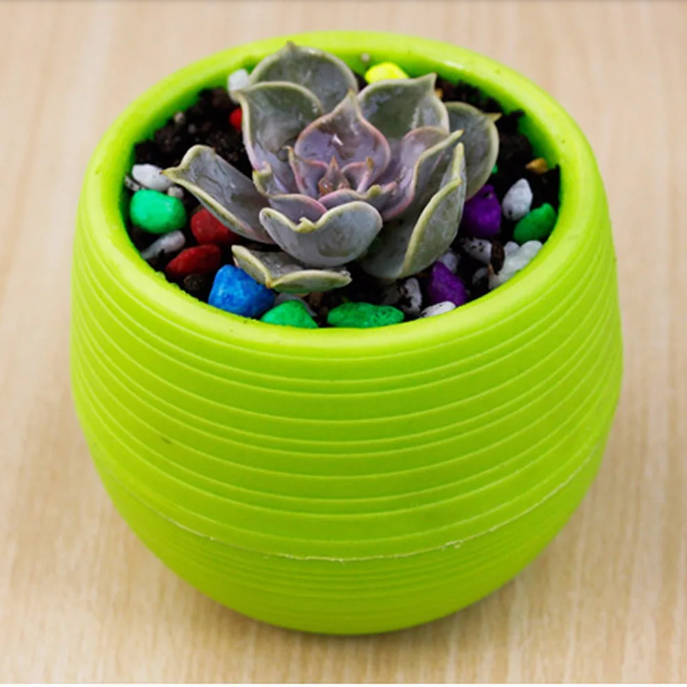 

Garden Balcony Succulents Plants Flowerpot Plastic Stone Pill Pot Colorful Rainbow Home Office Desktop Small Nursery Pots Hot